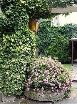 Hotel Michels Garni